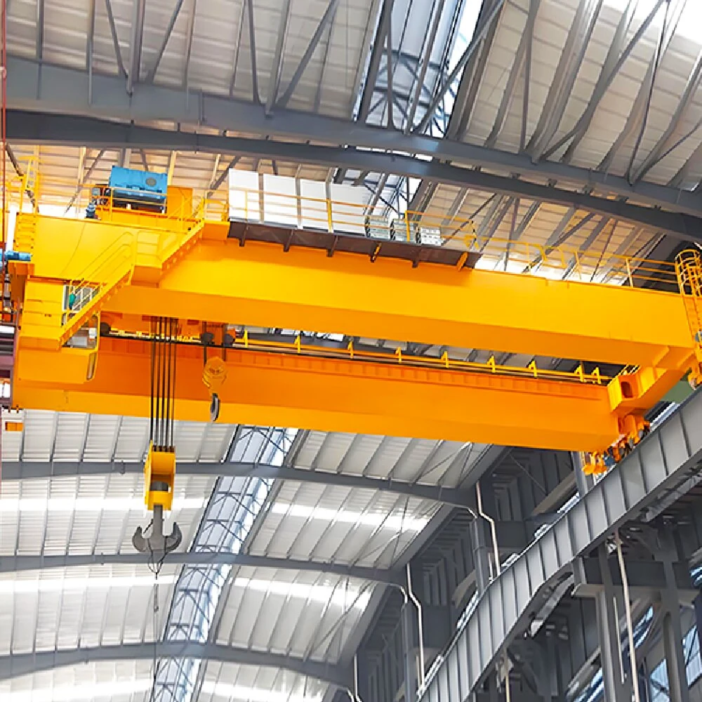 Double Girder Overhead Crane supplied view 4