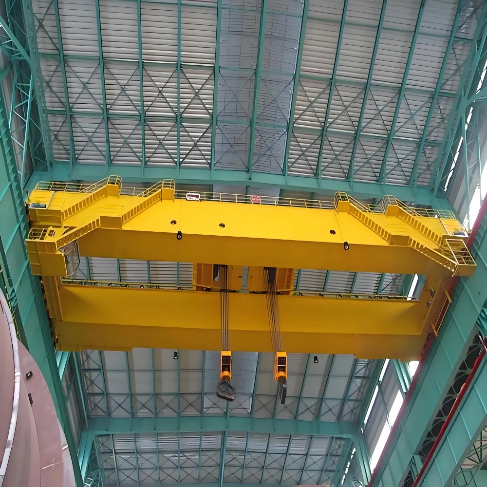 Double Girder Overhead Crane supplied view 6