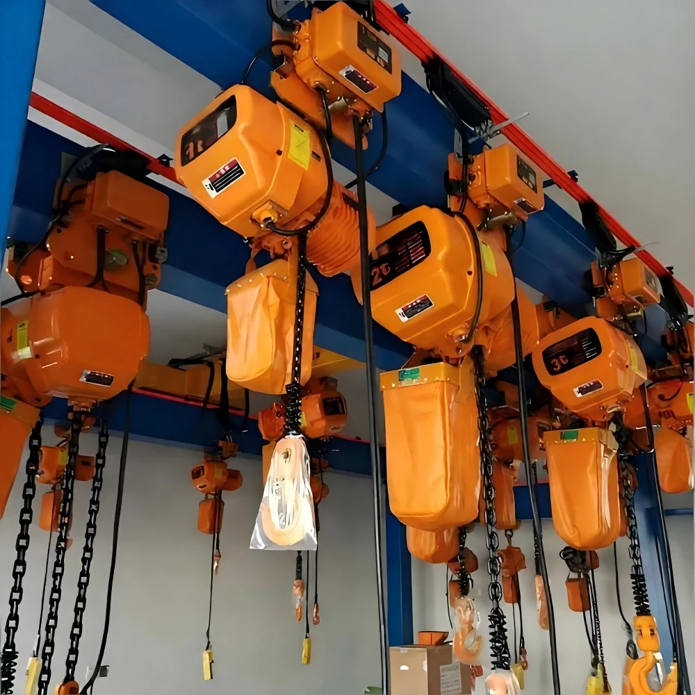 Electric Chain Hoist supplied view 6