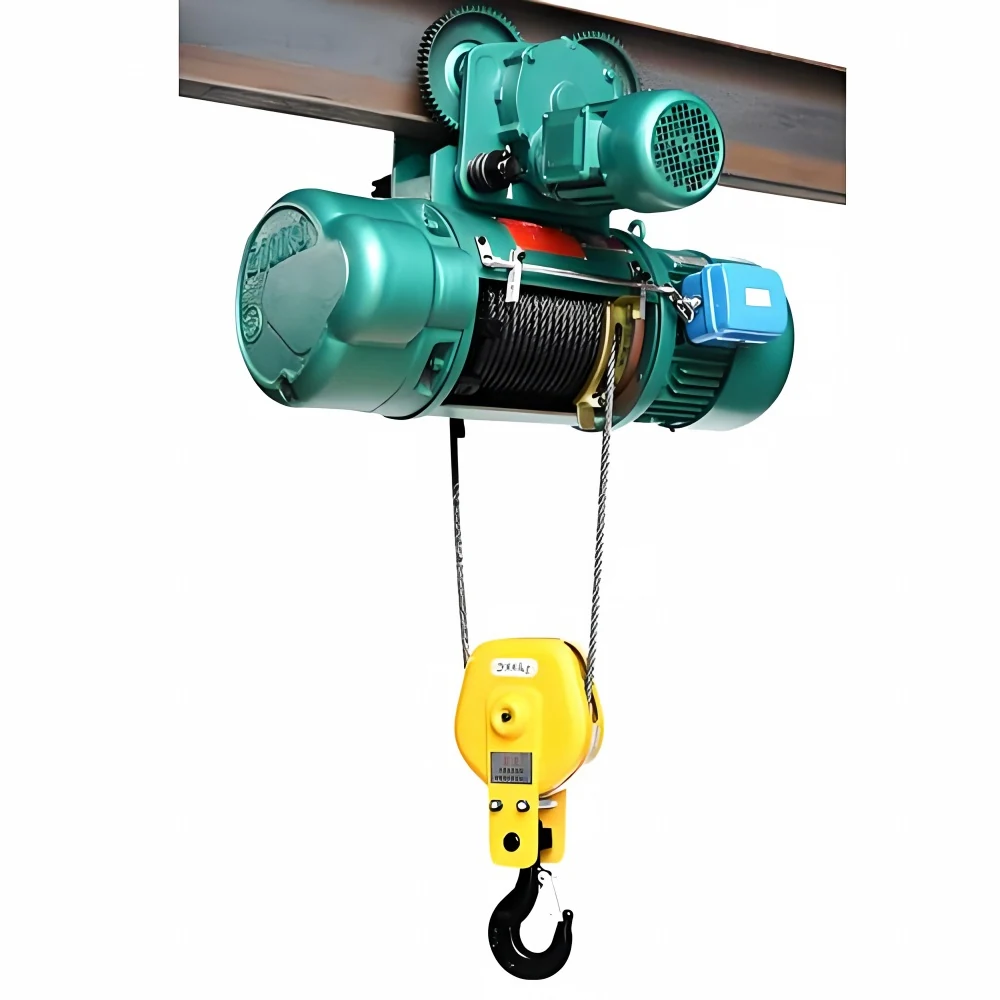Electric Wire Rope Hoist supplied view 2