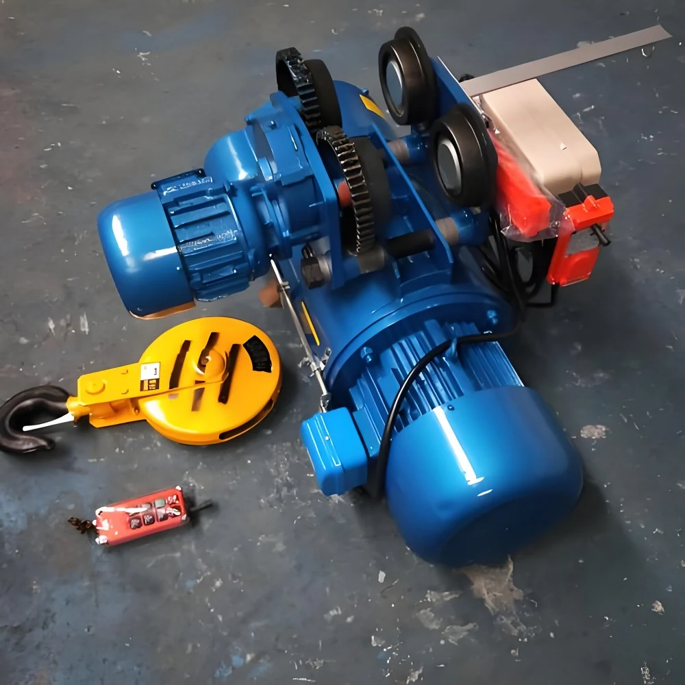 Electric Wire Rope Hoist supplied view 4