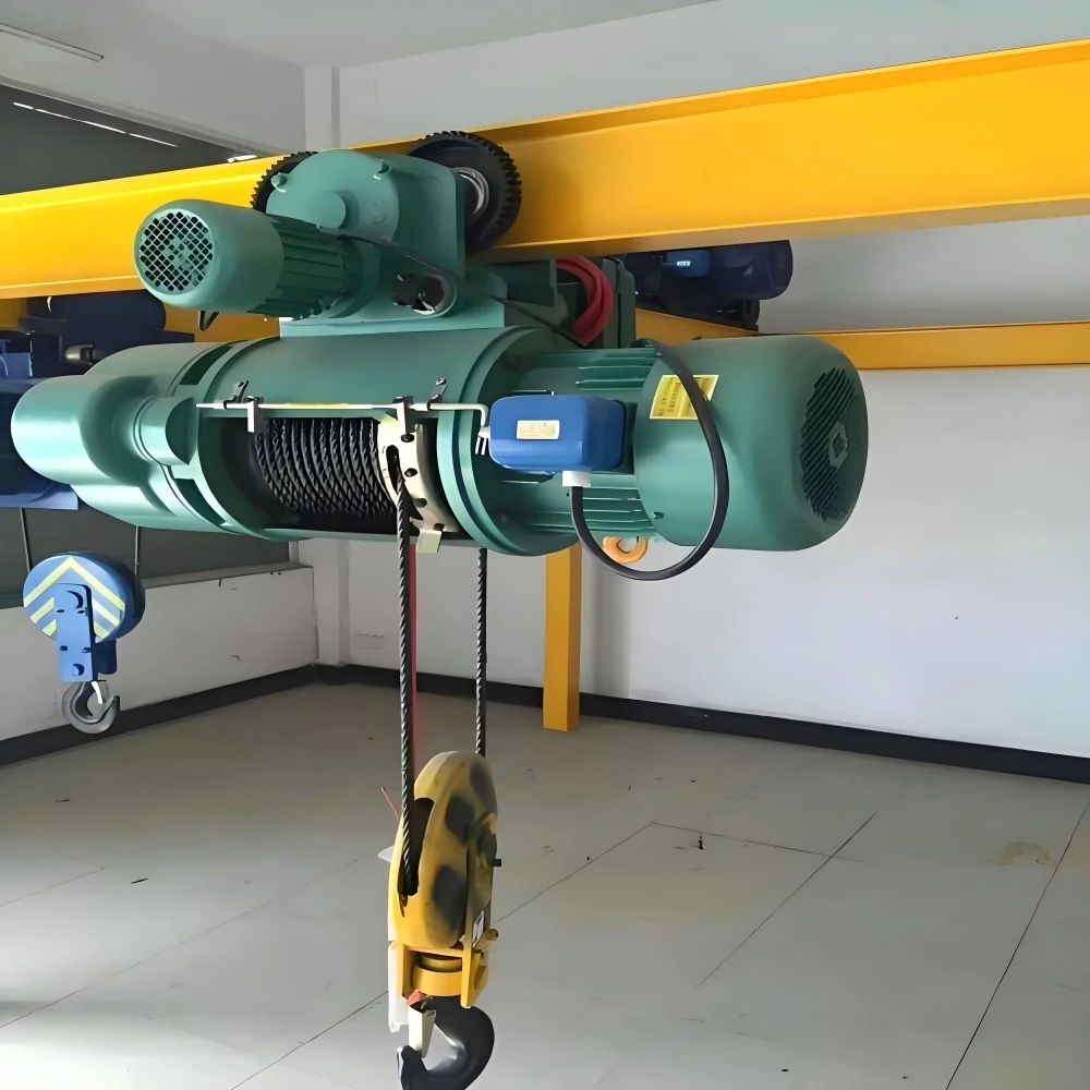 Electric Wire Rope Hoist supplied view 5