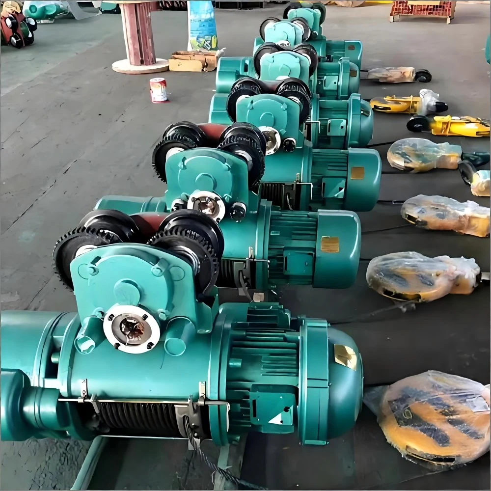 Electric Wire Rope Hoist supplied view 6