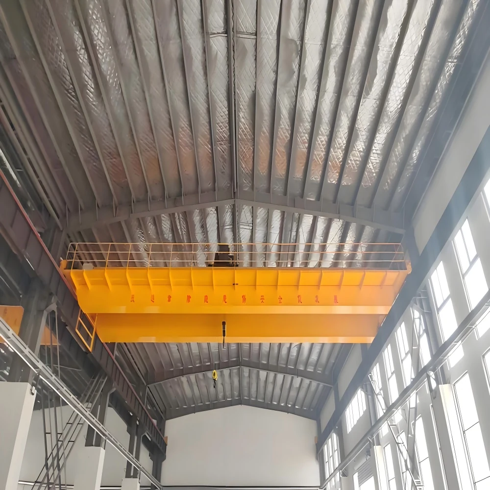 FEM Standards Double Girder Overhead Crane supplied equipment view