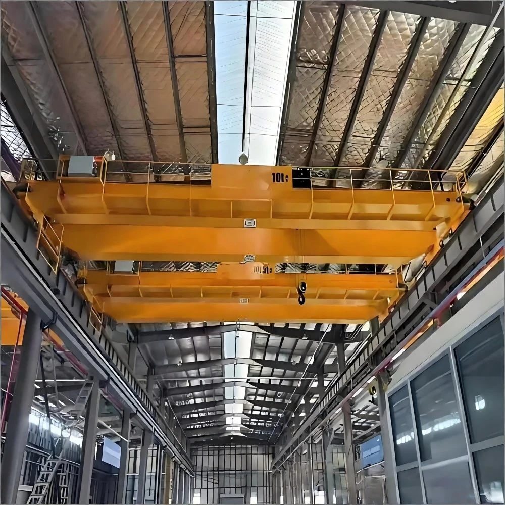 FEM Standards Double Girder Overhead Crane supplied view 2