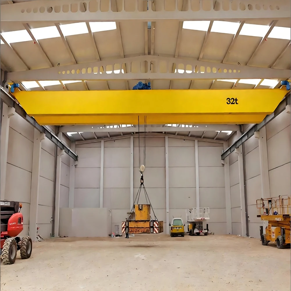 FEM Standards Double Girder Overhead Crane supplied view 3