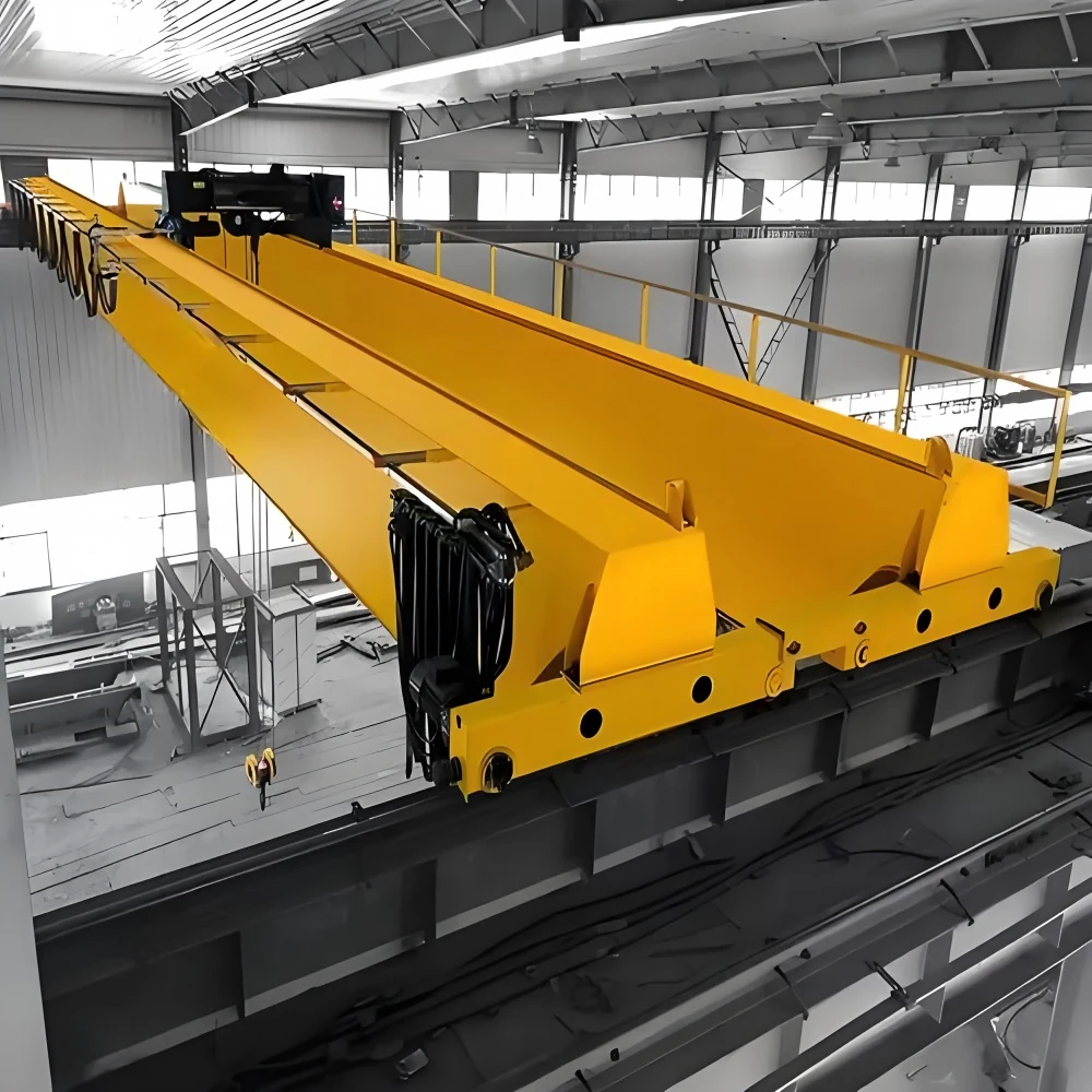 FEM Standards Double Girder Overhead Crane supplied view 4