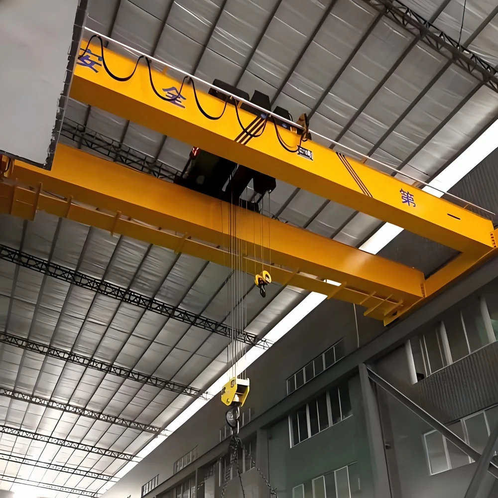 FEM Standards Double Girder Overhead Crane supplied view 5