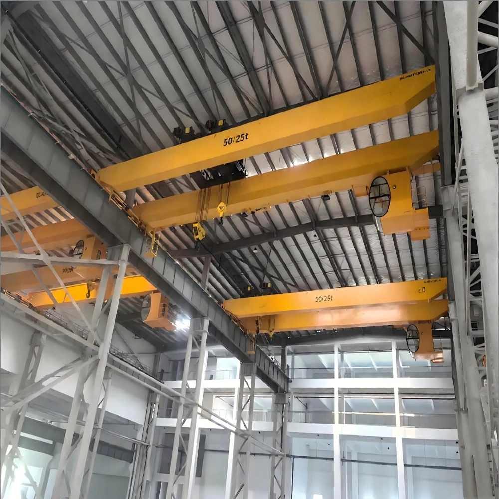 FEM Standards Double Girder Overhead Crane supplied view 6