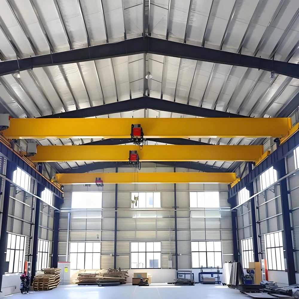FEM Standards Single Girder Overhead Crane supplied equipment view