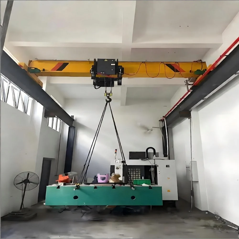 FEM Standards Single Girder Overhead Crane supplied view 2