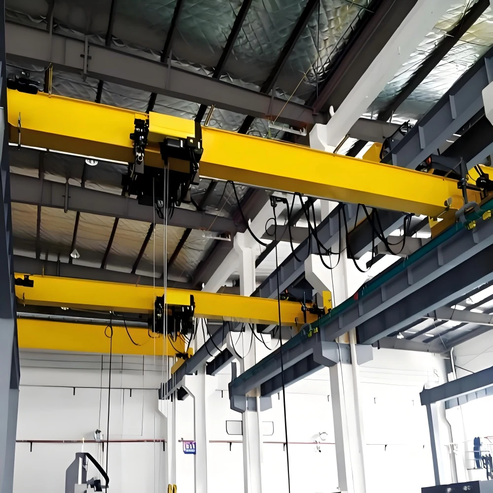 FEM Standards Single Girder Overhead Crane supplied view 4