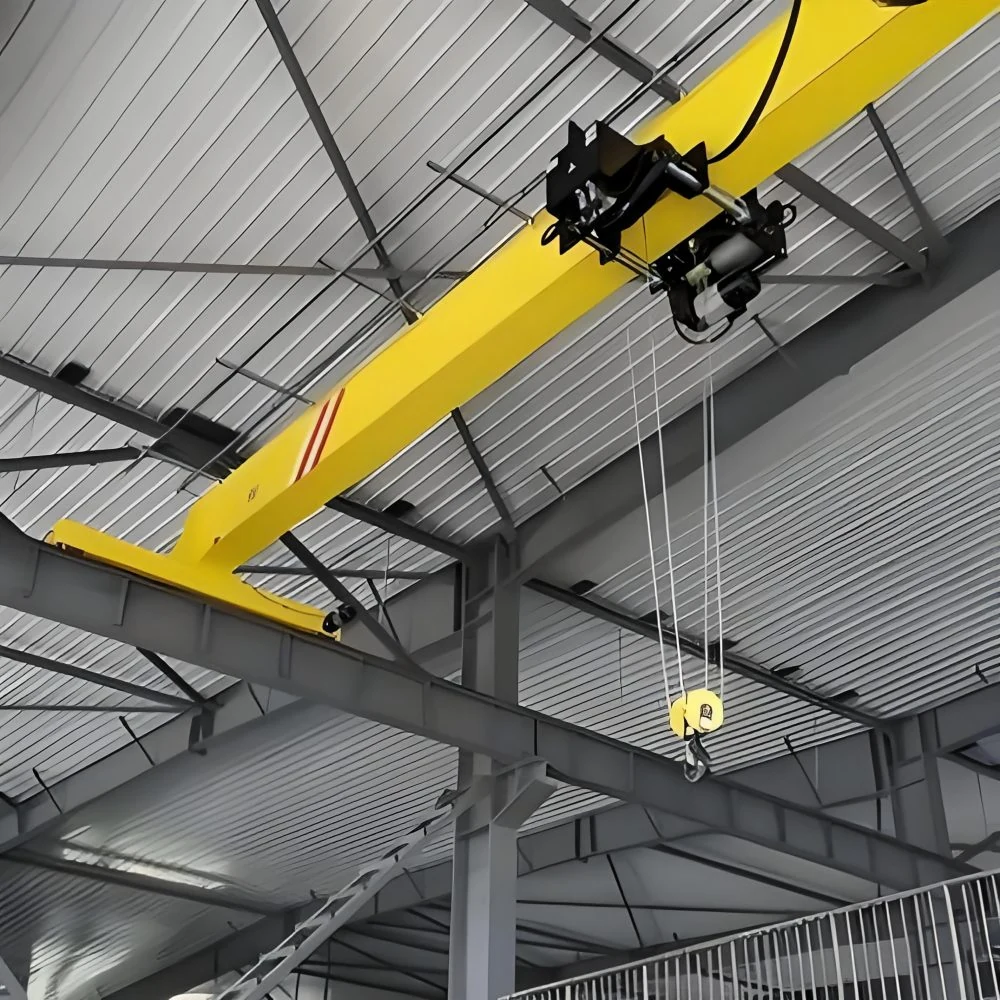 FEM Standards Single Girder Overhead Crane supplied view 5