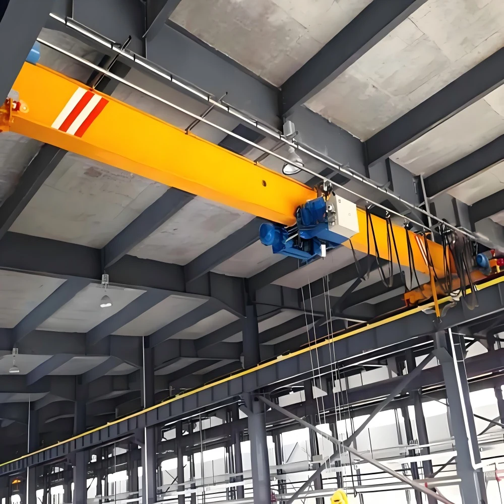 FEM Standards Single Girder Overhead Crane supplied view 6