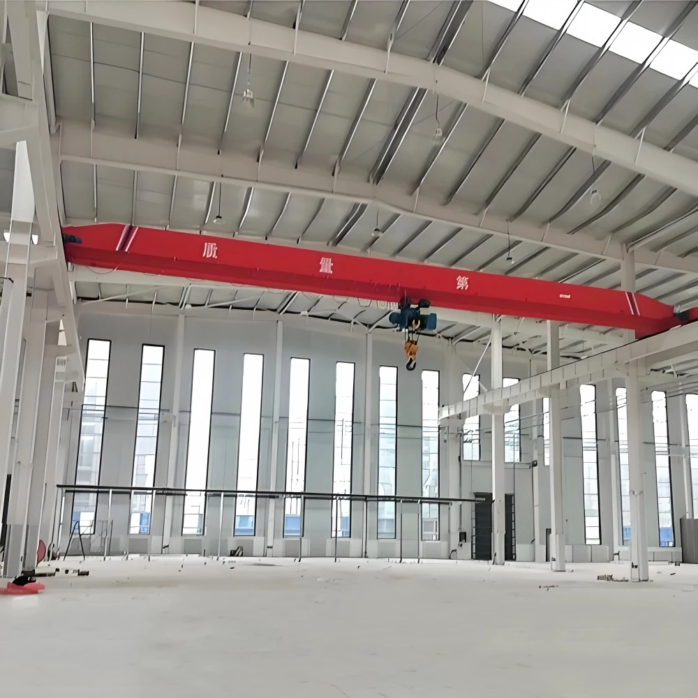 Single Girder Overhead Crane supplied view 5